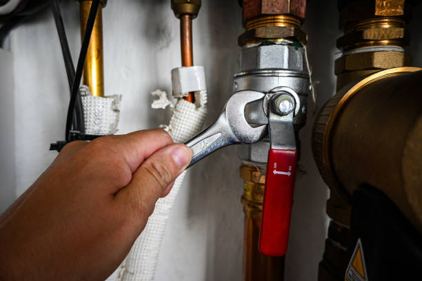 Best Emergency Plumber  in New Brockton, AL